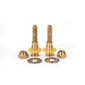 Fluidmaster SetFast Pro 5/16 in. x 2-1/4 in. No Cut Brass Closet Toilet Bolt Kit 7110A-009-B100